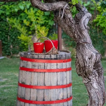 Casa Coronica * Sečovlje