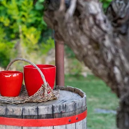 Casa Coronica Alojamento de Turismo Rural *