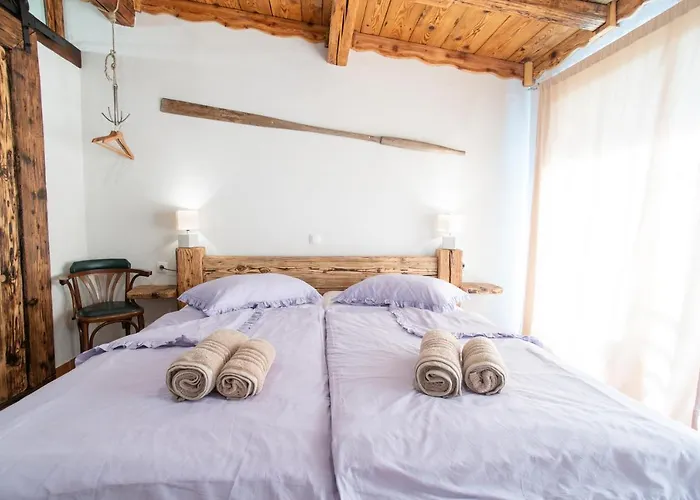 Farm stay Casa Coronica Secovlje
