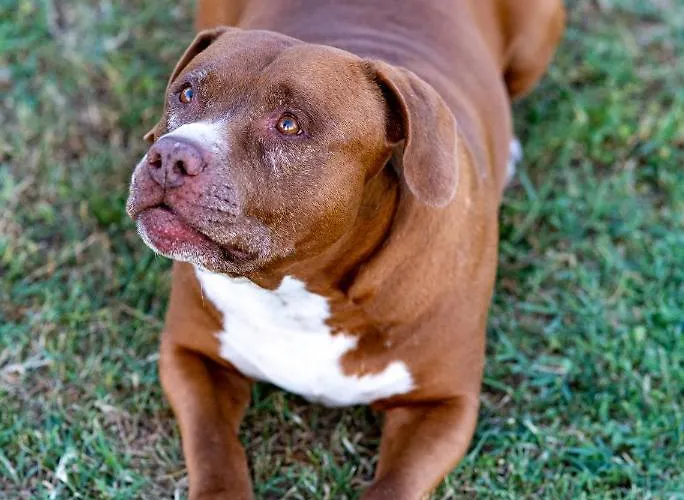 Farm stay Casa Coronica Secovlje