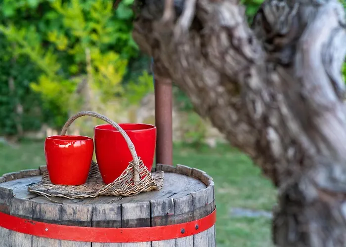 Casa Coronica Farm stay *